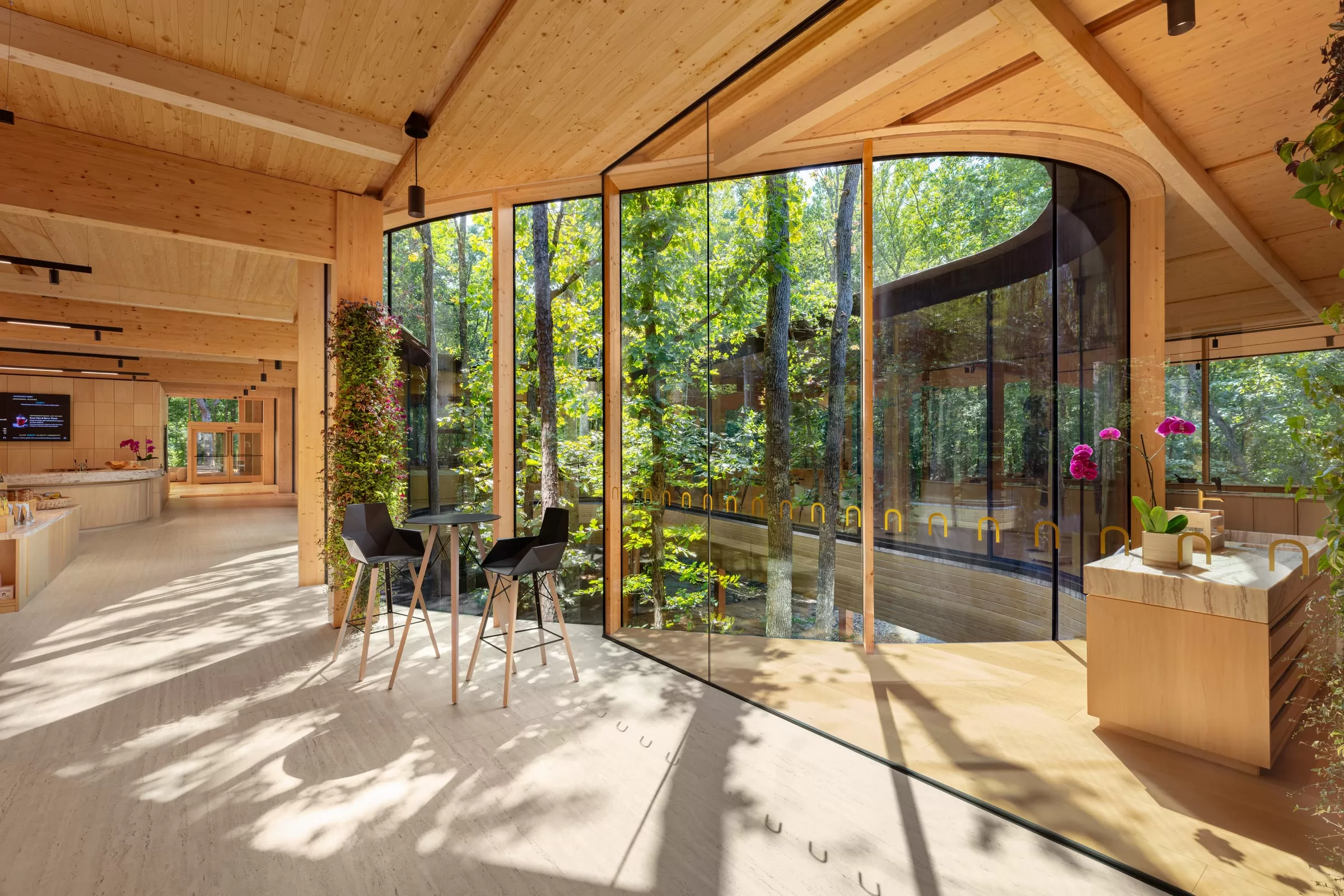 Inside the Nest, the courtyard trees through the curved glass