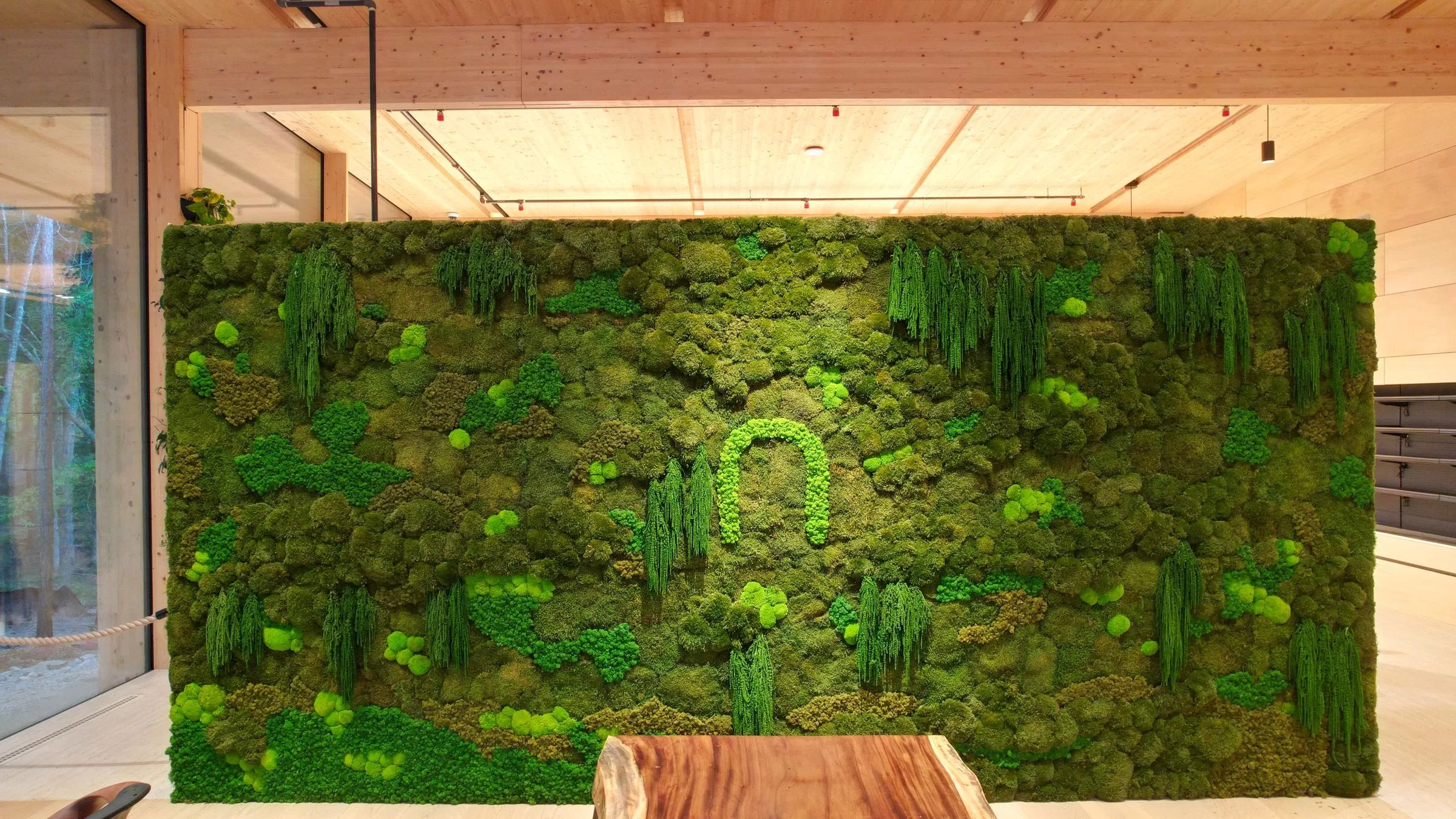 The living moss wall at Nutrition Nest